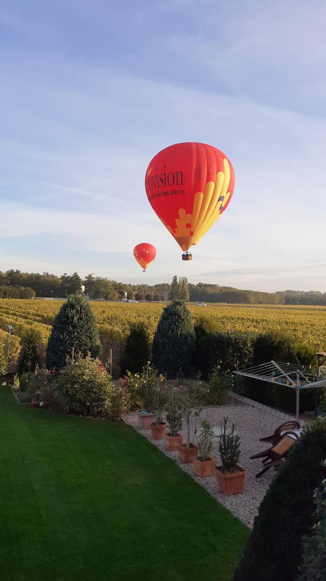 Bed and Breakfast Aux Pieds Des Vignes Інгерсгайм Екстер'єр фото